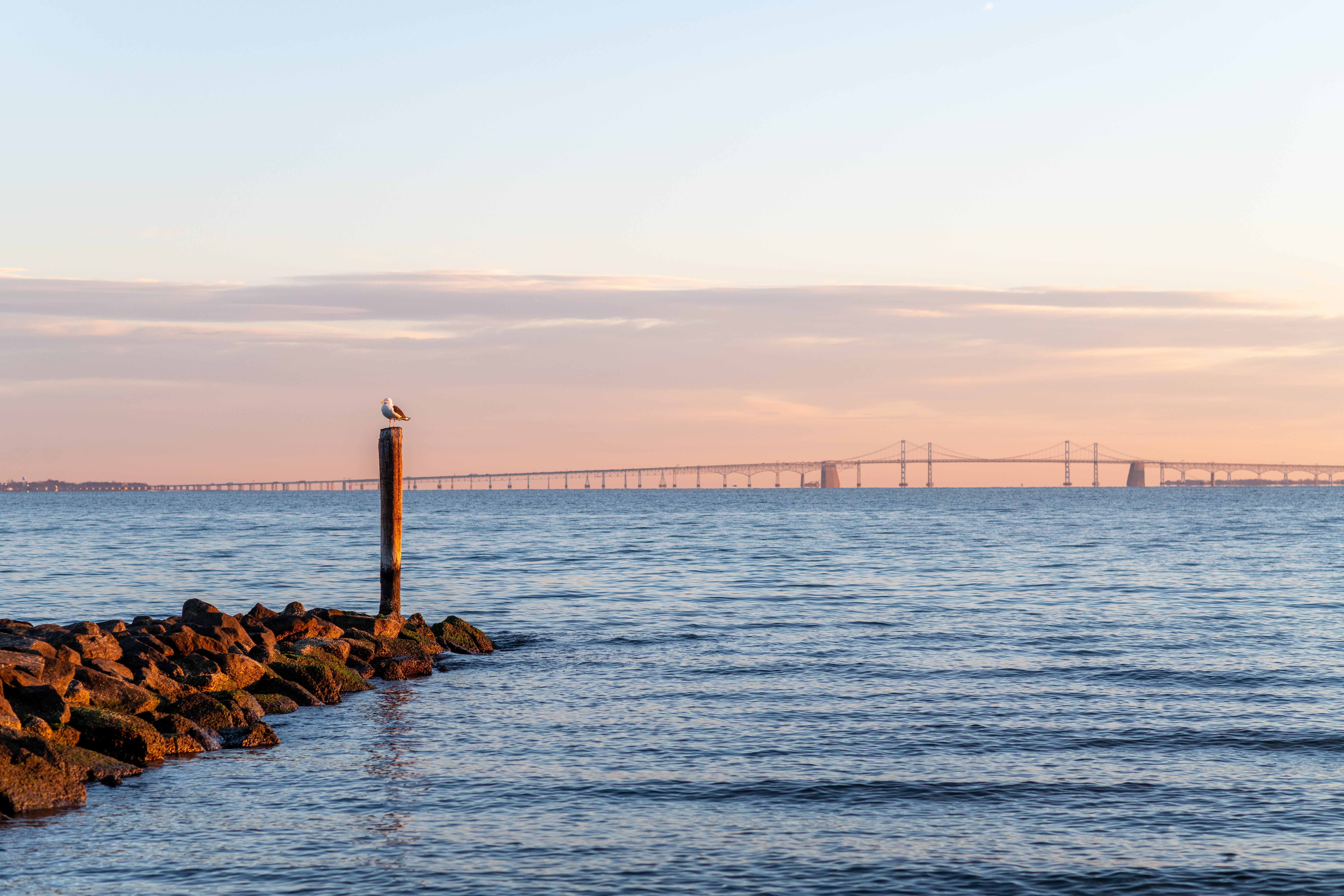 Rise and Run at CCR Annapolis Store Lead