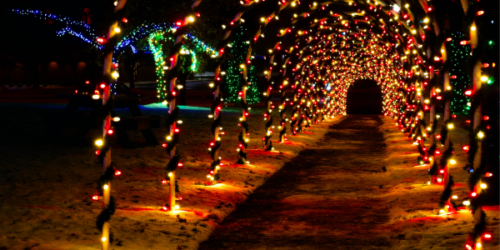 Holiday Lights Fun Run Store Lead