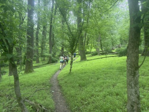 “Trail-curious” Patapsco State Park Trail Series Store Lead